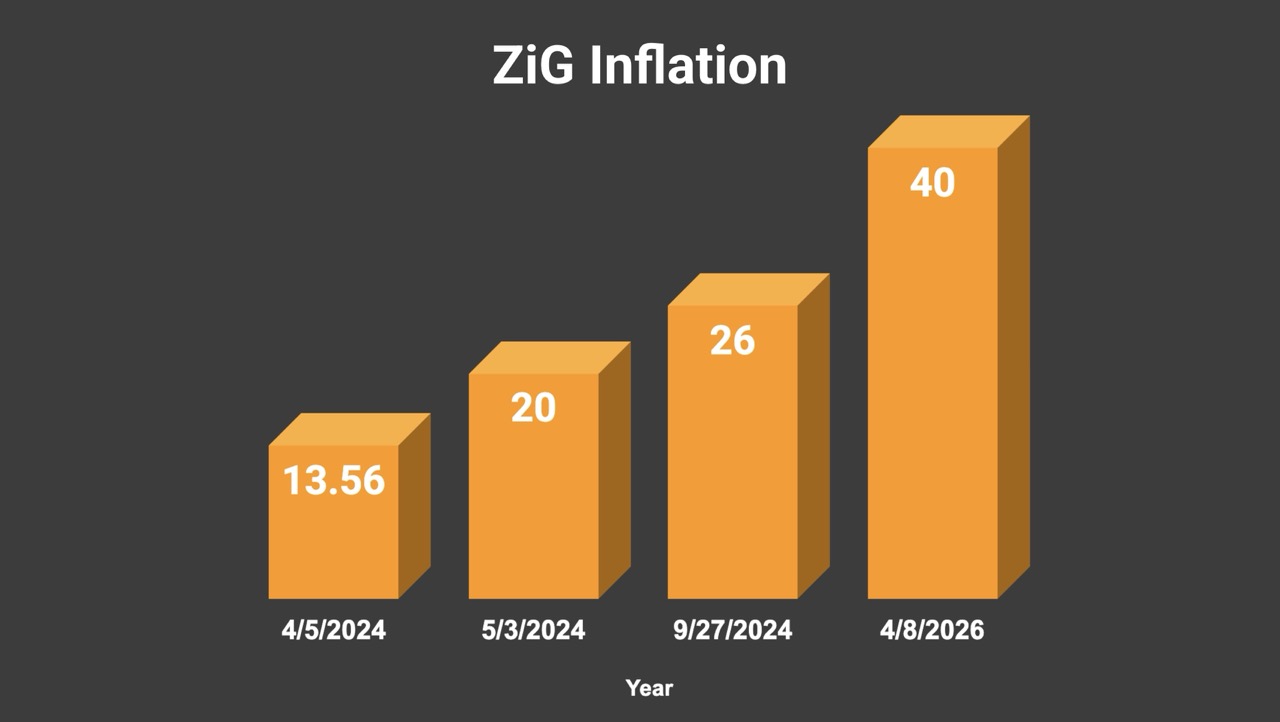 ZiG inflation chart showing value collapse