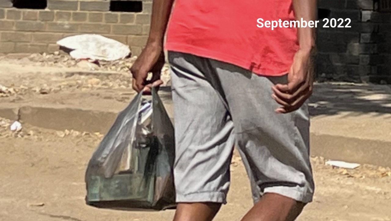 Man carrying a bag of Zimbabwean dollar banknotes in Harare, September 2022